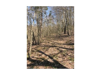 GREAT WALKING PATH OR CUT IN THE DRIVEWAY TO YOUR 