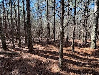 Photo Feb 24 2025, 11 29 09 AM