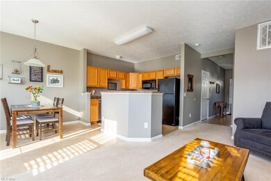 Living Room/Kitchen