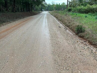 2285 Hempstead Road 16, Blevins, AR 71825 - photo 6