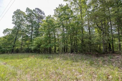 TBD Rosebud Ln, Rogers, AR 72756 - photo 2