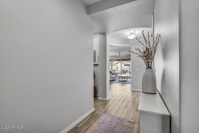 20263 E Roadrunner Ct, Queen Creek, AZ 85142 - photo 4