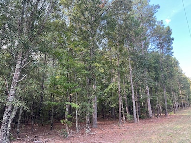 U S 76, Honea Path, SC 29654 - photo 4