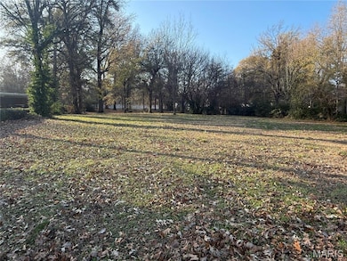 501 College Ave, Kennett, MO 63857 - photo 2