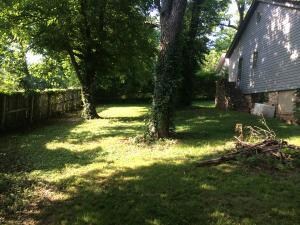 Back Yard and Fire Pit