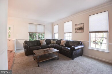 217 Misty Pond Terrace, Purcellville, VA 20132 - photo 7