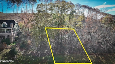 585 Black Cove Ln, Loudon, TN 37774 - photo 3