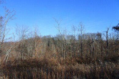 4874 Fox Knob Ln, Cookeville, TN 38506 - photo 4