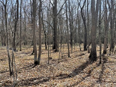 Woods