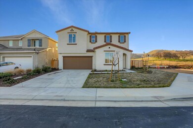 21051 Pinot Noir Dr, Patterson, CA 95363 - photo 2