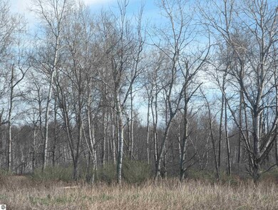 N/A Turner Rd, Tawas City, MI 48763 - photo 2