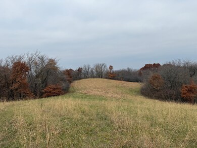 0 Dover Bluff, Waverly, MO 64096 - photo 2