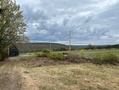 10645 Cross St, Hammondsport, NY 14840 - photo 4