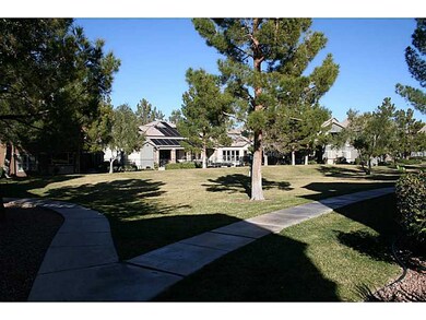 Yard/Garden.