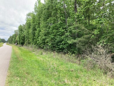 00 County Road 381, Cleveland, TX 77328 - photo 2