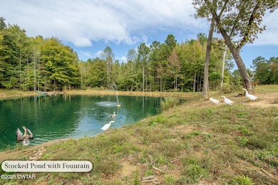 424 Firetower Rd, Camden, TN 38320 - photo 4