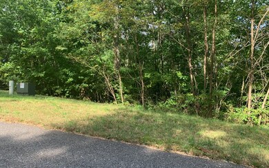 Additional View