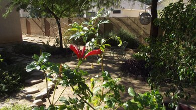 Lush Rear Yard