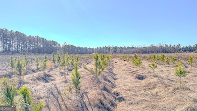 0 N Highway 301 unit 12, Statesboro, GA 30461 - photo 3