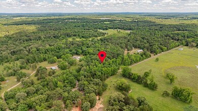 TBD Woodchuck Rd, Pittsburg, TX 75686 - photo 4