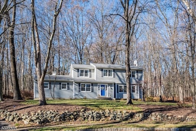 9 Shadetree Place, Long Valley, NJ 07853 - photo 2