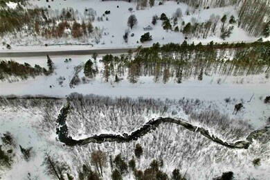 TBD U S 131, Boyne Falls, MI 49713 - photo 3