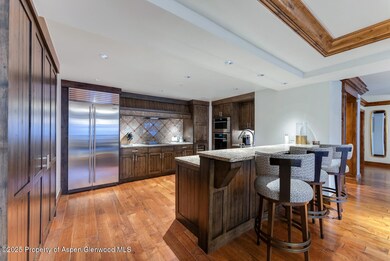 315 E Dean St unit B35-E3, Aspen, CO 81611 - photo 6