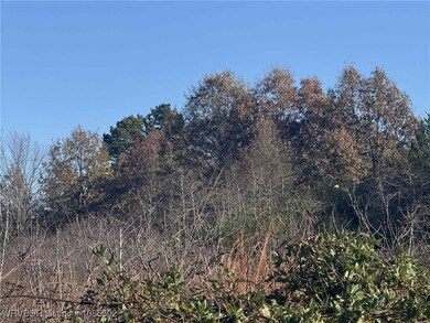 Tract 12 Lakeview Dr, Spiro, OK 74959 - photo 4