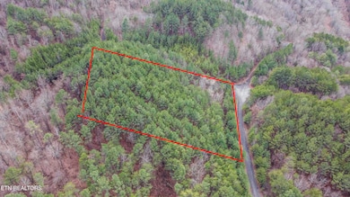 Harlan Mtn
