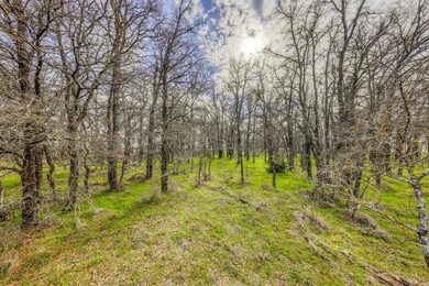 000C Lacy Dr, Lipan, TX 76462 - photo 7