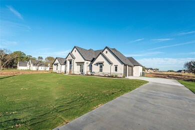 613 Winkler Way, Springtown, TX 76082 - photo 5