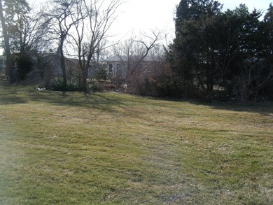 Back yard - v2.JPG