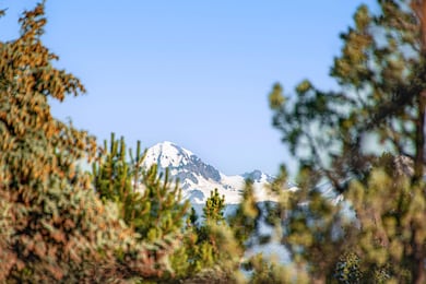 60220 Horse Butte Rd, Bend, OR 97702 - photo 6