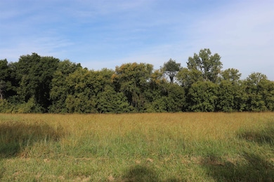 10.54 Acres County Road D, Fall River, WI 53932 - photo 2