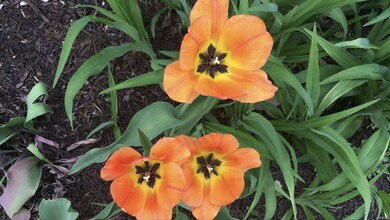 15 Deer Path, Lake In the Hills, IL 60156 - photo 7