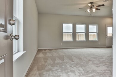 4627 Ehrlich Ct, Rosenberg, TX 77471 - photo 5