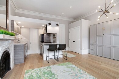 154 W Concord St unit 2A, Boston, MA 02118 - photo 6