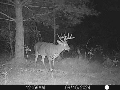 2640 14th Ct, Adams, WI 53910 - photo 6