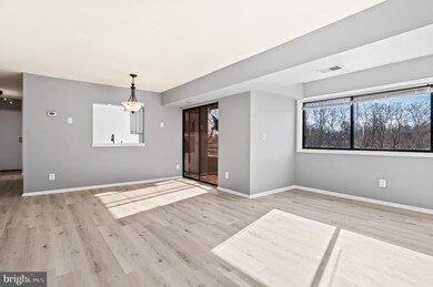 6903 Jones View Dr unit 3B, Baltimore, MD 21209 - photo 5