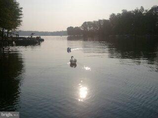 902 Lakeview Pkwy, Locust Grove, VA 22508 - photo 5