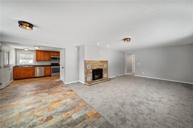 3439 N Myers Rd, Geneva, OH 44041 - photo 7