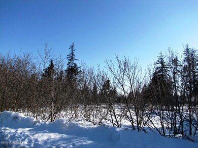 L8 B1 Laduquesa Ln, Anchor Point, AK 99556 - photo 3