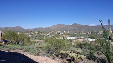 Views From the Patio