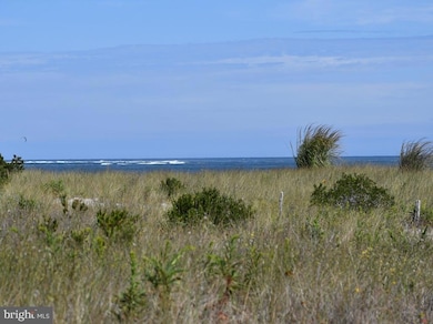 22 E 7th St, Barnegat Light, NJ 08006 - photo 3