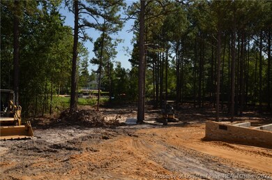 825 Coachman Way, Sanford, NC 27332 - photo 2