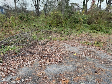 Tbd Bethel Dr, Bristol, TN 37620 - photo 3