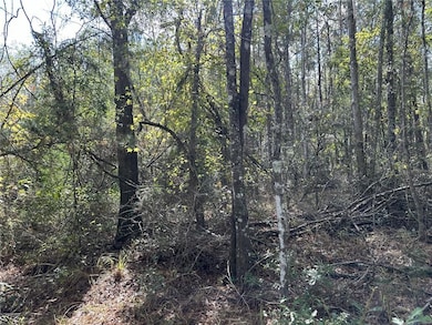 27823 J C Stewart Rd, Albany, LA 70711 - photo 5