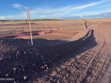 Lot #35 Bonito Valley Ranch -- unit 35, Saint Johns, AZ 85936 - photo 7