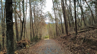 Tract 30 Gillespie Rd SE, Fairmount, GA 30139 - photo 5