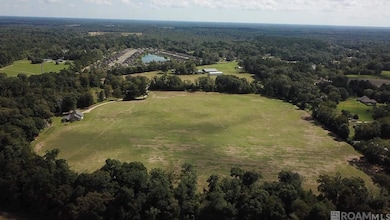 22835 La Hwy 16, Denham Springs, LA 70726 - photo 2